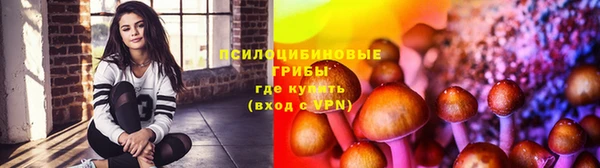шишки Алексин