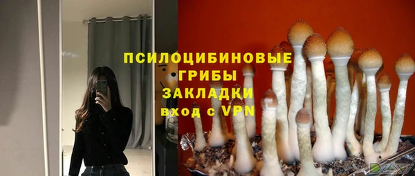 apvp Заводоуковск
