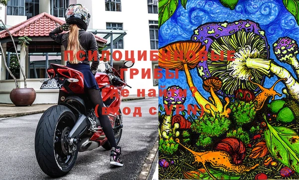 прущие крисы Абинск