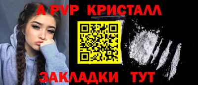 шишки Донской