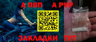 шишки Донской