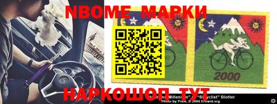 шишки Донской
