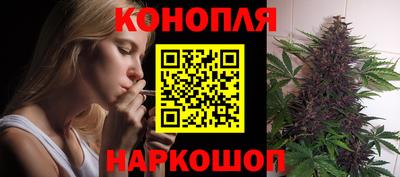 шишки Донской