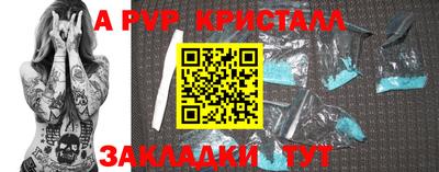 шишки Донской