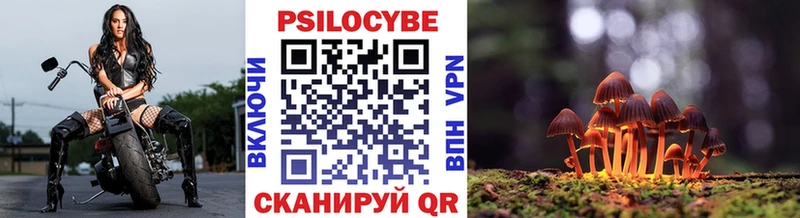 Галлюциногенные грибы Psilocybe  Югорск 