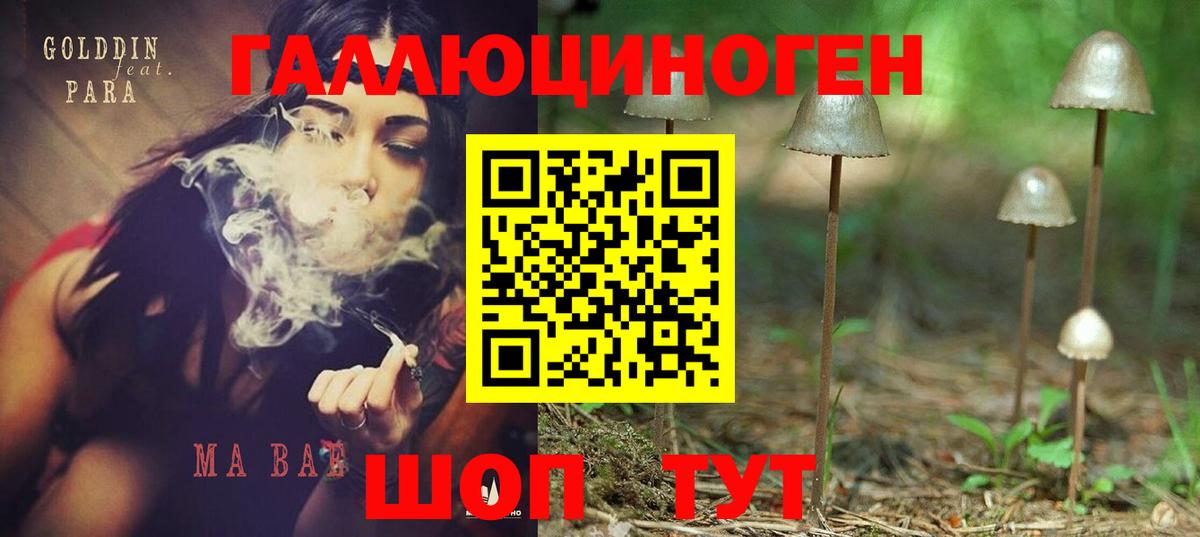 Югорск  Галлюциногенные грибы MAGIC MUSHROOMS  Вход с VPN 